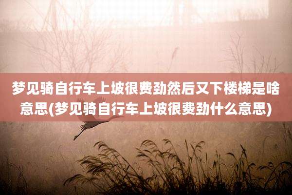 梦见骑自行车上坡很费劲然后又下楼梯是啥意思(梦见骑自行车上坡很费劲什么意思)