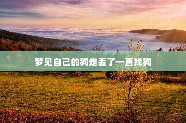 梦见自己的狗走丢了一直找狗