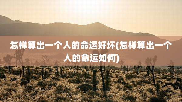怎样算出一个人的命运好坏(怎样算出一个人的命运如何)