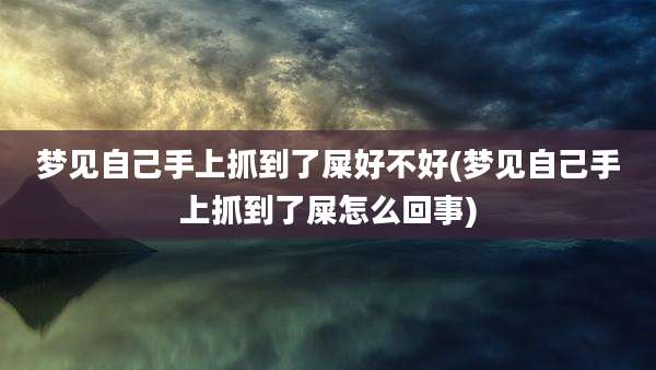 梦见自己手上抓到了屎好不好(梦见自己手上抓到了屎怎么回事)