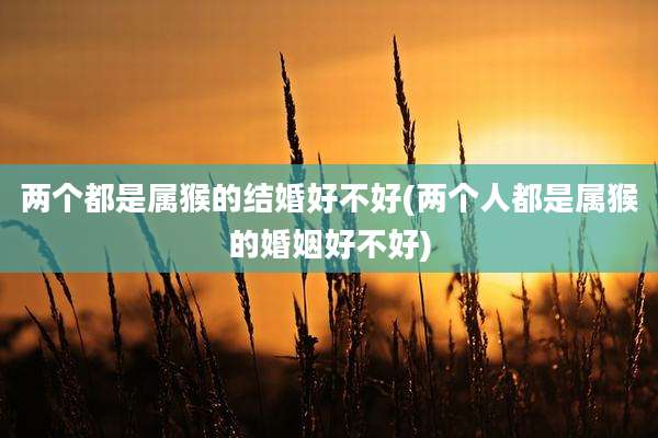 两个都是属猴的结婚好不好(两个人都是属猴的婚姻好不好)