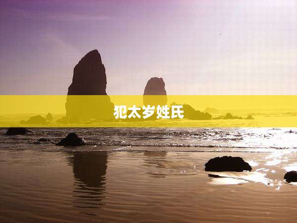 犯太岁姓氏