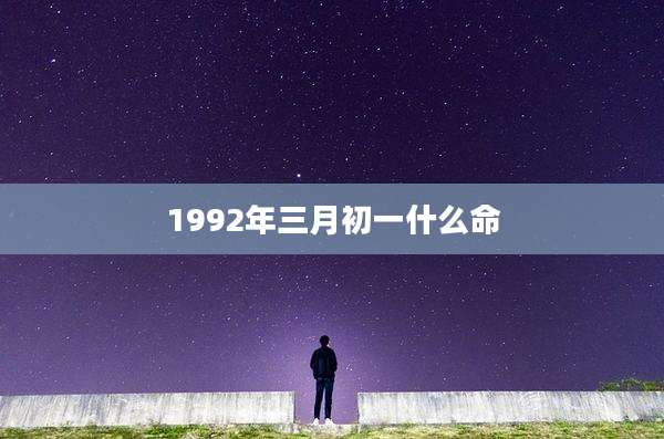1992年三月初一什么命
