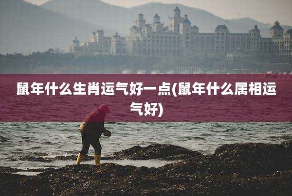 鼠年什么生肖运气好一点(鼠年什么属相运气好)