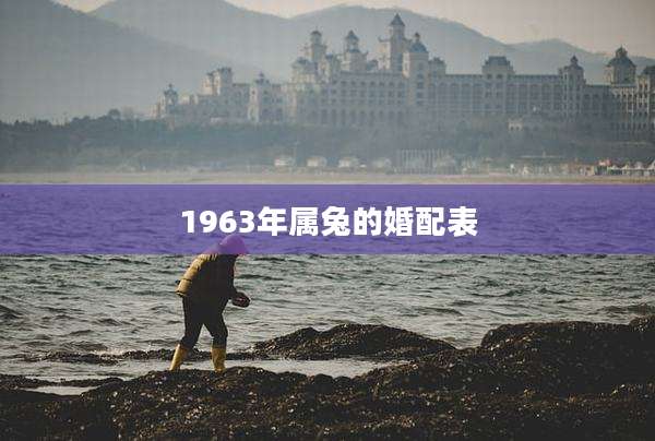 1963年属兔的婚配表