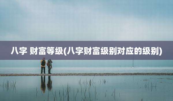 八字 财富等级(八字财富级别对应的级别)