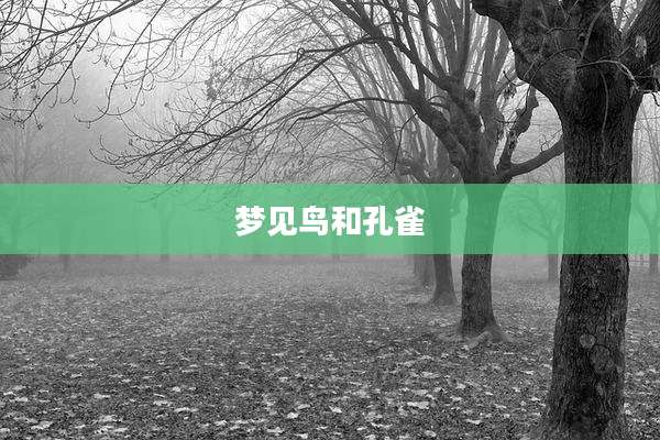 梦见鸟和孔雀