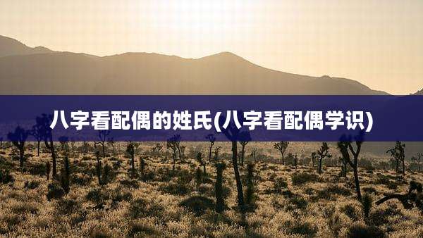 八字看配偶的姓氏(八字看配偶学识)