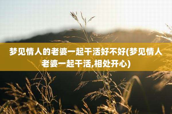 梦见情人的老婆一起干活好不好(梦见情人老婆一起干活,相处开心)