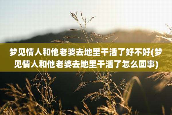 梦见情人和他老婆去地里干活了好不好(梦见情人和他老婆去地里干活了怎么回事)