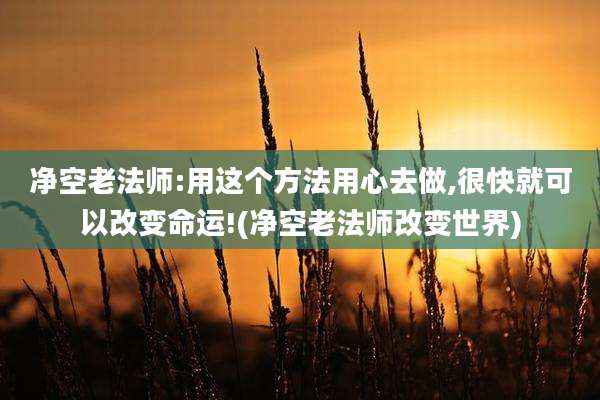 净空老法师:用这个方法用心去做,很快就可以改变命运!(净空老法师改变世界)