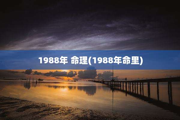 1988年 命理(1988年命里)