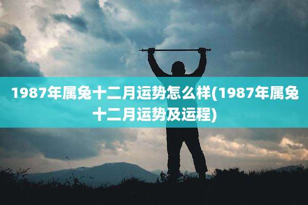 1987年属兔十二月运势怎么样(1987年属兔十二月运势及运程)