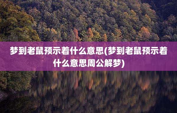梦到老鼠预示着什么意思(梦到老鼠预示着什么意思周公解梦)