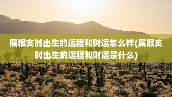属猴亥时出生的运程和财运怎么样(属猴亥时出生的运程和财运是什么)