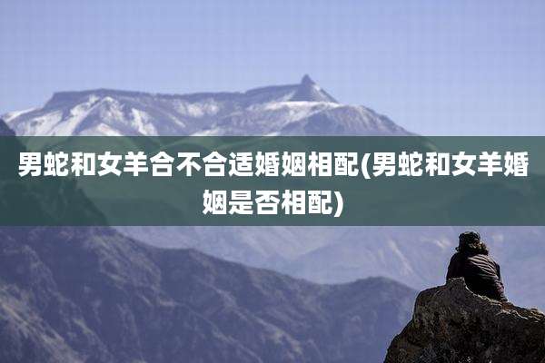 男蛇和女羊合不合适婚姻相配(男蛇和女羊婚姻是否相配)