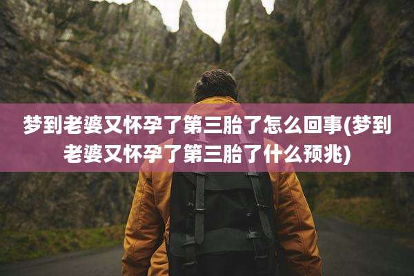 梦到老婆又怀孕了第三胎了怎么回事(梦到老婆又怀孕了第三胎了什么预兆)