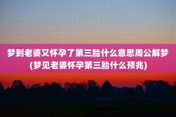 梦到老婆又怀孕了第三胎什么意思周公解梦(梦见老婆怀孕第三胎什么预兆)