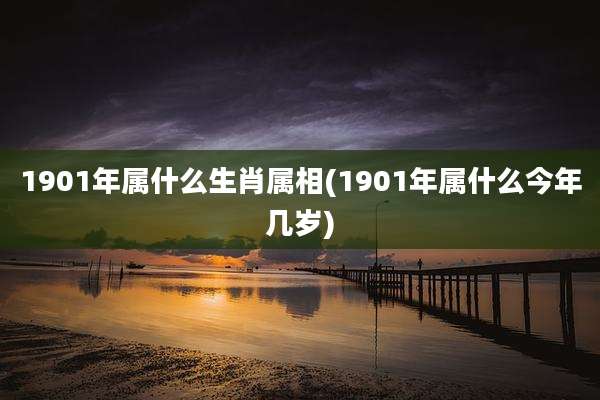 1901年属什么生肖属相(1901年属什么今年几岁)