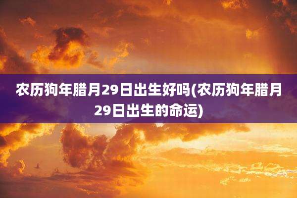 农历狗年腊月29日出生好吗(农历狗年腊月29日出生的命运)