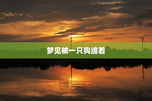 梦见被一只狗缠着