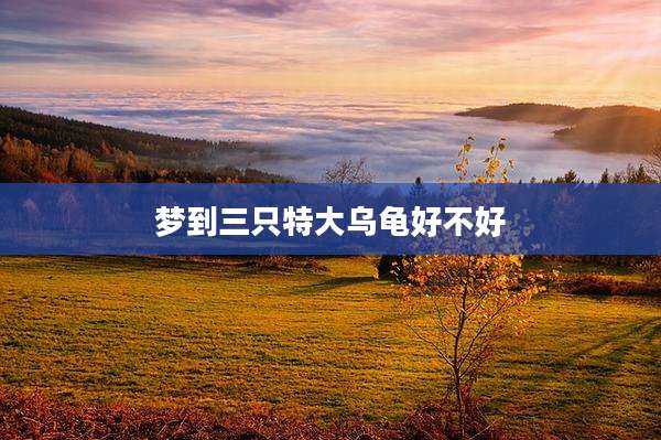 梦到三只特大乌龟好不好