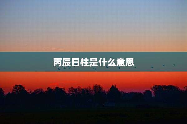 丙辰日柱是什么意思
