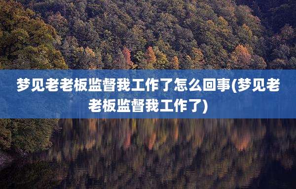 梦见老老板监督我工作了怎么回事(梦见老老板监督我工作了)