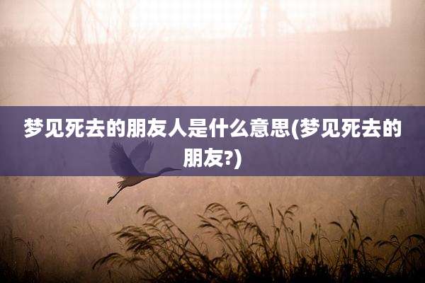 梦见死去的朋友人是什么意思(梦见死去的朋友?)