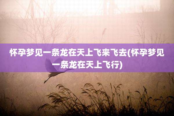 怀孕梦见一条龙在天上飞来飞去(怀孕梦见一条龙在天上飞行)