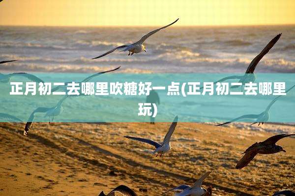 正月初二去哪里吹糖好一点(正月初二去哪里玩)