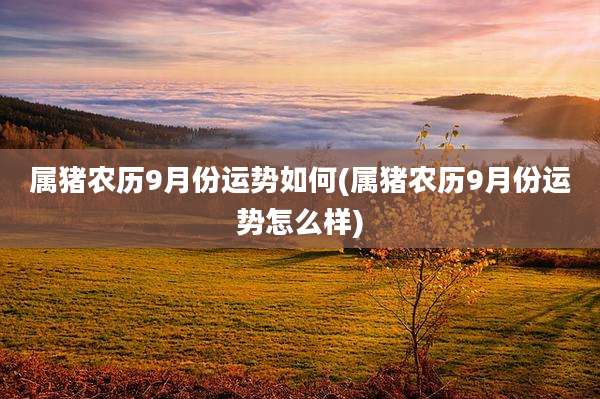属猪农历9月份运势如何(属猪农历9月份运势怎么样)