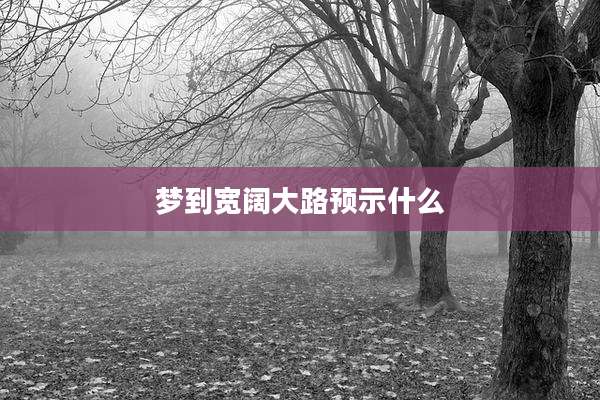 梦到宽阔大路预示什么
