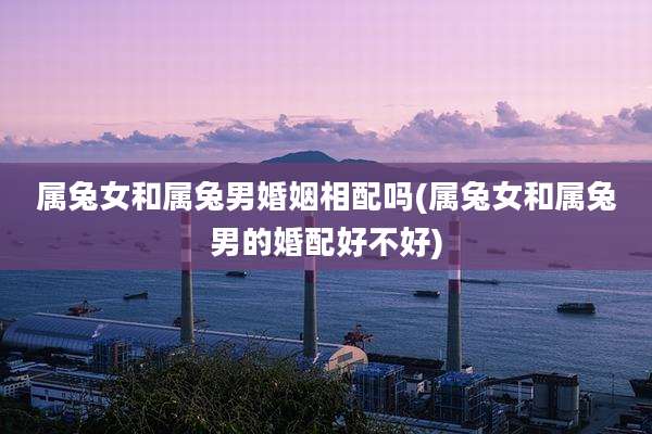 属兔女和属兔男婚姻相配吗(属兔女和属兔男的婚配好不好)