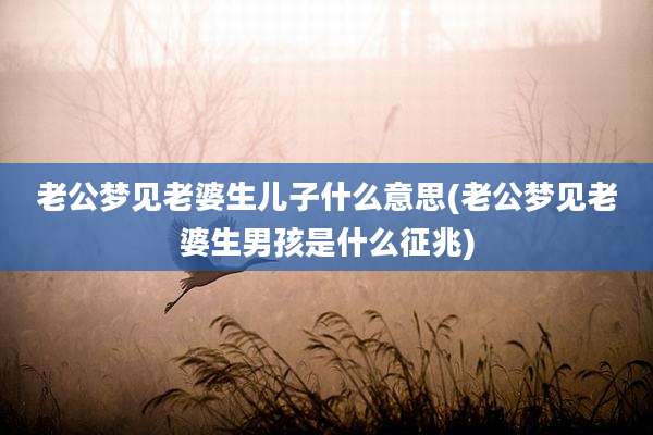 老公梦见老婆生儿子什么意思(老公梦见老婆生男孩是什么征兆)