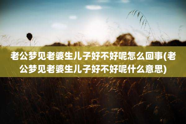 老公梦见老婆生儿子好不好呢怎么回事(老公梦见老婆生儿子好不好呢什么意思)