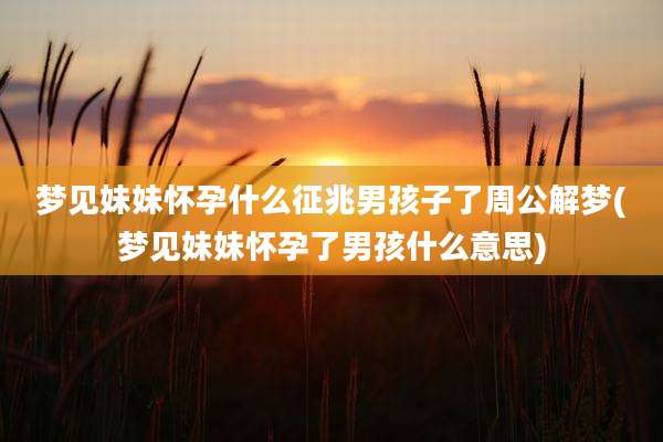 梦见妹妹怀孕什么征兆男孩子了周公解梦(梦见妹妹怀孕了男孩什么意思)