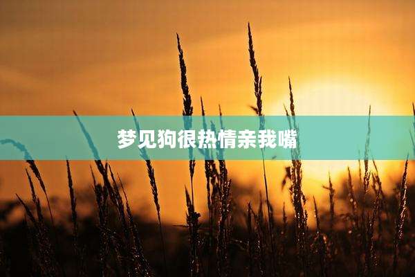 梦见狗很热情亲我嘴