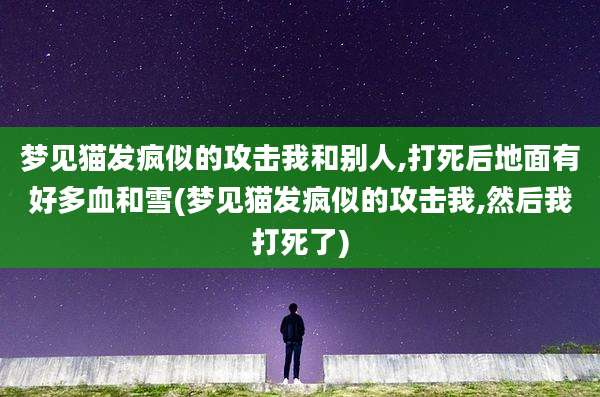 梦见猫发疯似的攻击我和别人,打死后地面有好多血和雪(梦见猫发疯似的攻击我,然后我打死了)