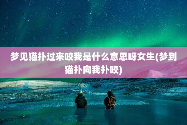 梦见猫扑过来咬我是什么意思呀女生(梦到猫扑向我扑咬)