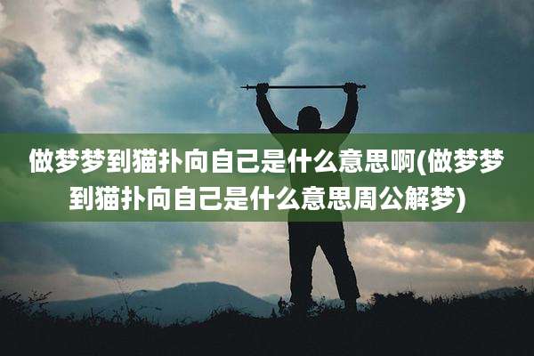 做梦梦到猫扑向自己是什么意思啊(做梦梦到猫扑向自己是什么意思周公解梦)