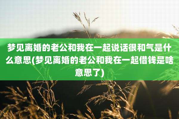 梦见离婚的老公和我在一起说话很和气是什么意思(梦见离婚的老公和我在一起借钱是啥意思了)