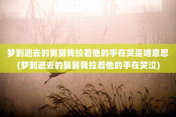 梦到逝去的舅舅我拉着他的手在哭是啥意思(梦到逝去的舅舅我拉着他的手在哭泣)