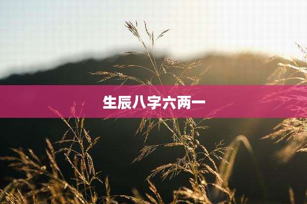 生辰八字六两一