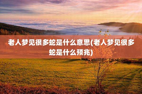 老人梦见很多蛇是什么意思(老人梦见很多蛇是什么预兆)