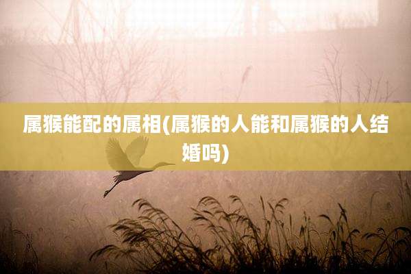 属猴能配的属相(属猴的人能和属猴的人结婚吗)