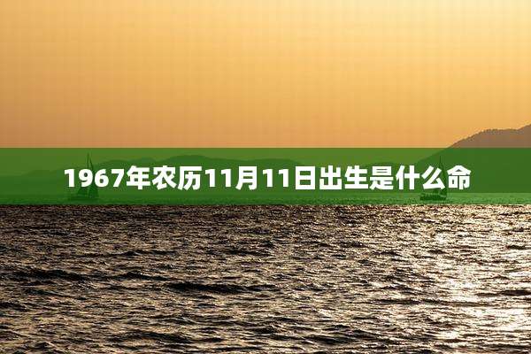1967年农历11月11日出生是什么命