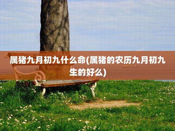 属猪九月初九什么命(属猪的农历九月初九生的好么)