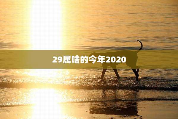 29属啥的今年2020