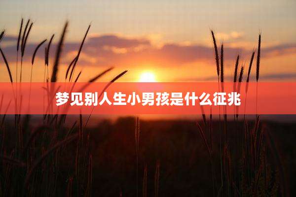 梦见别人生小男孩是什么征兆